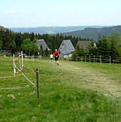 Rennsteig - Supermarathon am 19.5.2007