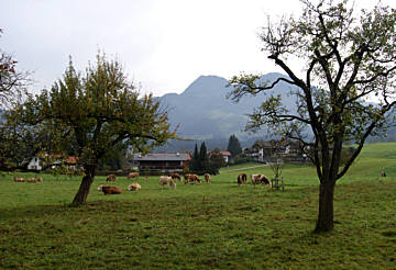 Tour de Tirol 2007