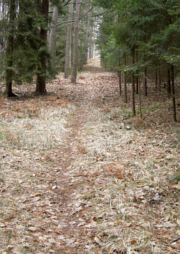 Vertikaler Marathon 2007