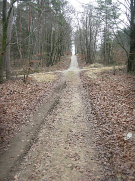 Vertikaler Marathon 2007