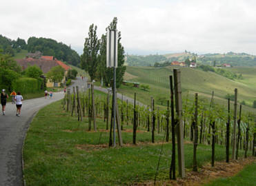 Welschlauf am 5.5.2007