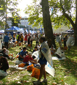 Budapest Marathon 2008