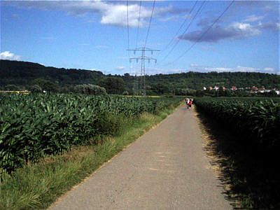 Fidelitas Nachtlauf 2008