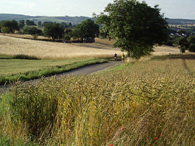 Fidelitas Nachtlauf 2008