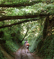 Fidelitas Nachtlauf 2008