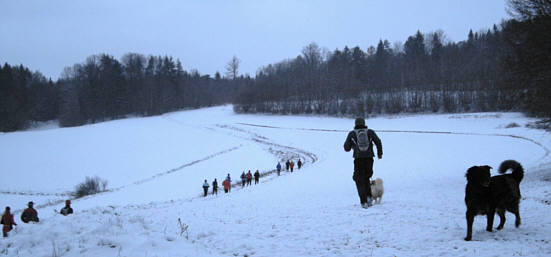 Genusslaufmarathon 2008