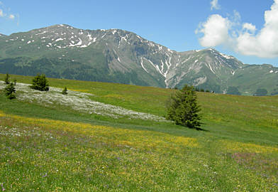 Graubnden - Marathon 2008