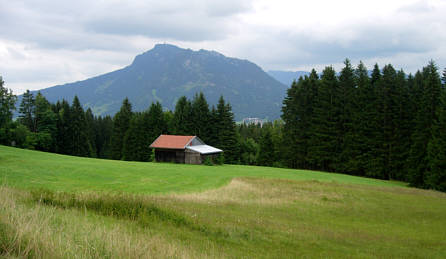 Immenstdter Gebirgsmarathon 2008