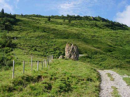 Immenstdter Gebirgsmarathon 2008