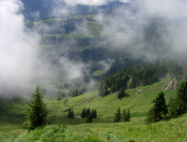 Immenstdter Gebirgsmarathon 2008