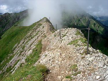 Immenstdter Gebirgsmarathon 2008