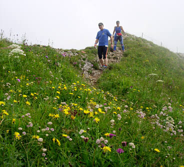 Immenstdter Gebirgsmarathon 2008