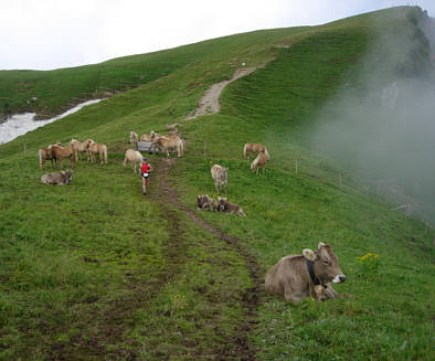 Immenstdter Gebirgsmarathon 2008