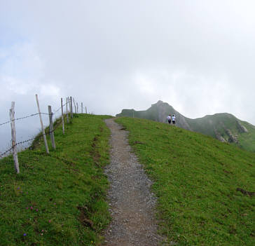 Immenstdter Gebirgsmarathon 2008