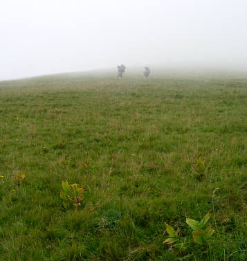 Immenstdter Gebirgsmarathon 2008