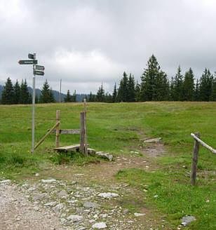 Immenstdter Gebirgsmarathon 2008