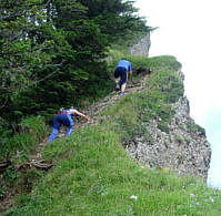 Immenstdter Gebirgsmarathon 2008