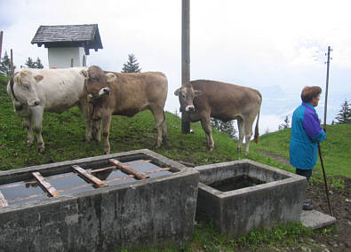 Liechtenstein - Marathon 2008