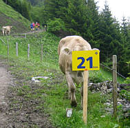 Liechtenstein - Marathon 2008