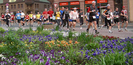 Rennsteig - Supermarathon 2008