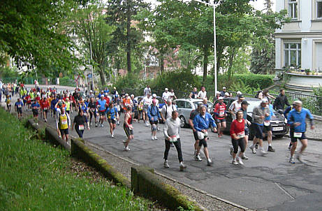 Rennsteig - Supermarathon 2008