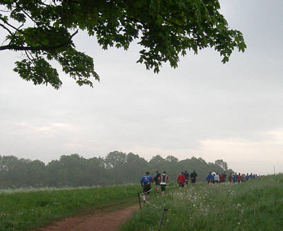 Rennsteig - Supermarathon 2008