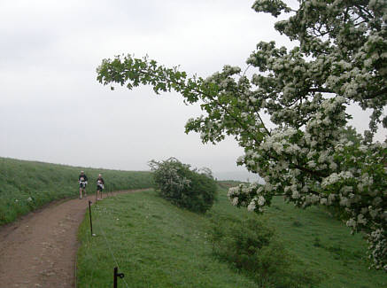 Rennsteig - Supermarathon 2008