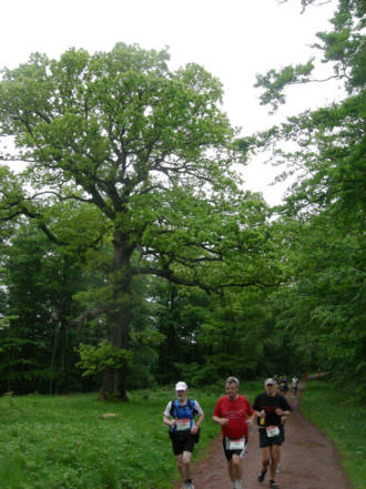 Rennsteig - Supermarathon 2008