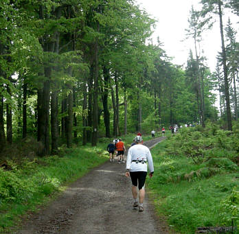 Rennsteig - Supermarathon 2008