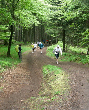 Rennsteig - Supermarathon 2008