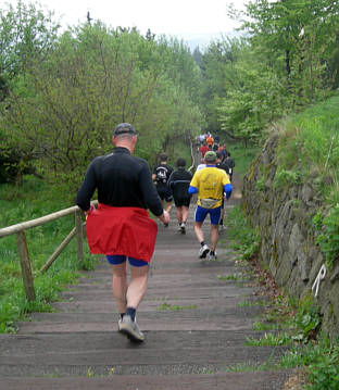 Rennsteig - Supermarathon 2008