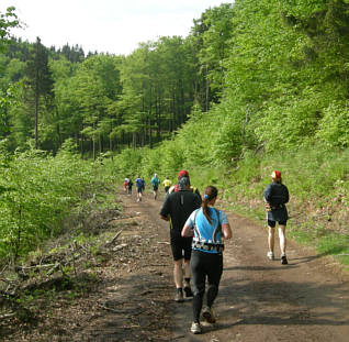 Rennsteig - Supermarathon 2008