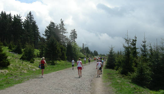 Rennsteig - Supermarathon 2008