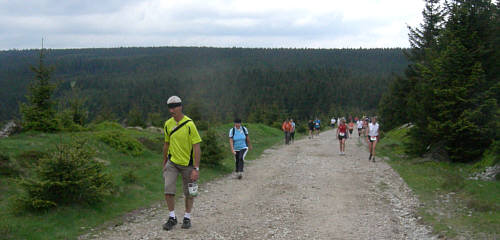 Rennsteig - Supermarathon 2008