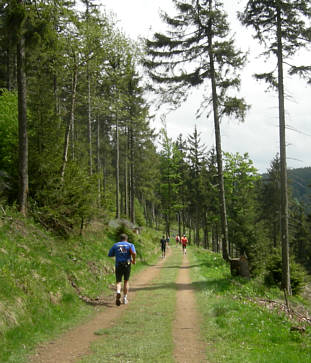 Rennsteig - Supermarathon 2008