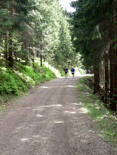 Rennsteig - Supermarathon 2008