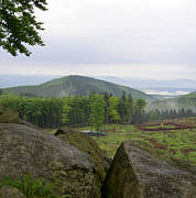 Rennsteig - Supermarathon 2008