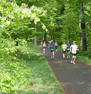 Rennsteig - Supermarathon 2008