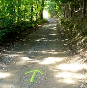 Saale Rennsteig Marathon 2008