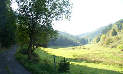 Saale Rennsteig Marathon 2008