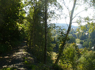 Saale Rennsteig Marathon 2008