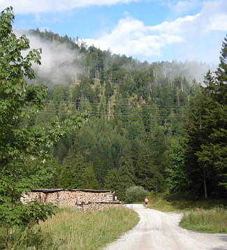 Walchensee Marathon 2008