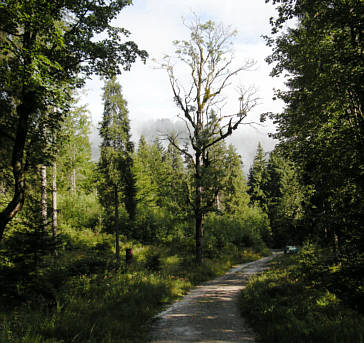 Walchensee Marathon 2008