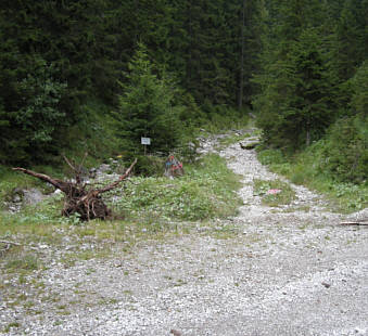 Walchensee Marathon 2008