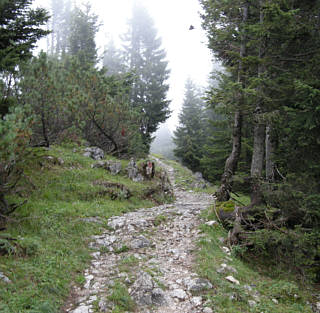 Walchensee Marathon 2008