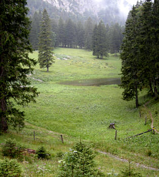 Walchensee Marathon 2008