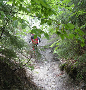 Walchensee Marathon 2008