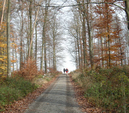 Zeiler Waldmarathon 2008