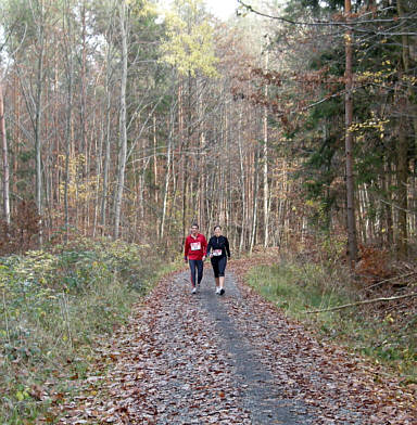 Zeiler Waldmarathon 2008