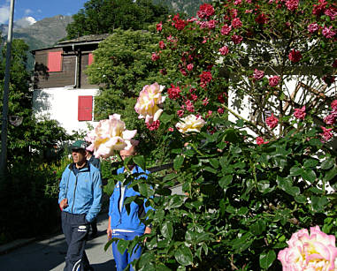 Zermatt - Marathon 2008